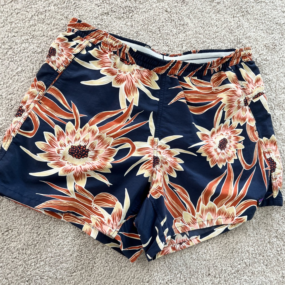 Patagonia Baggies shorts